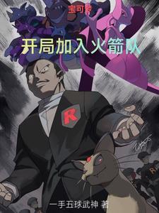 宝可梦开局加入火箭队无金手指亲近板木的有哪些